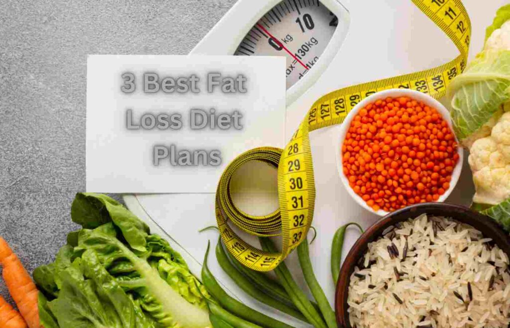 The 3 Best Fat Loss Diet Plans