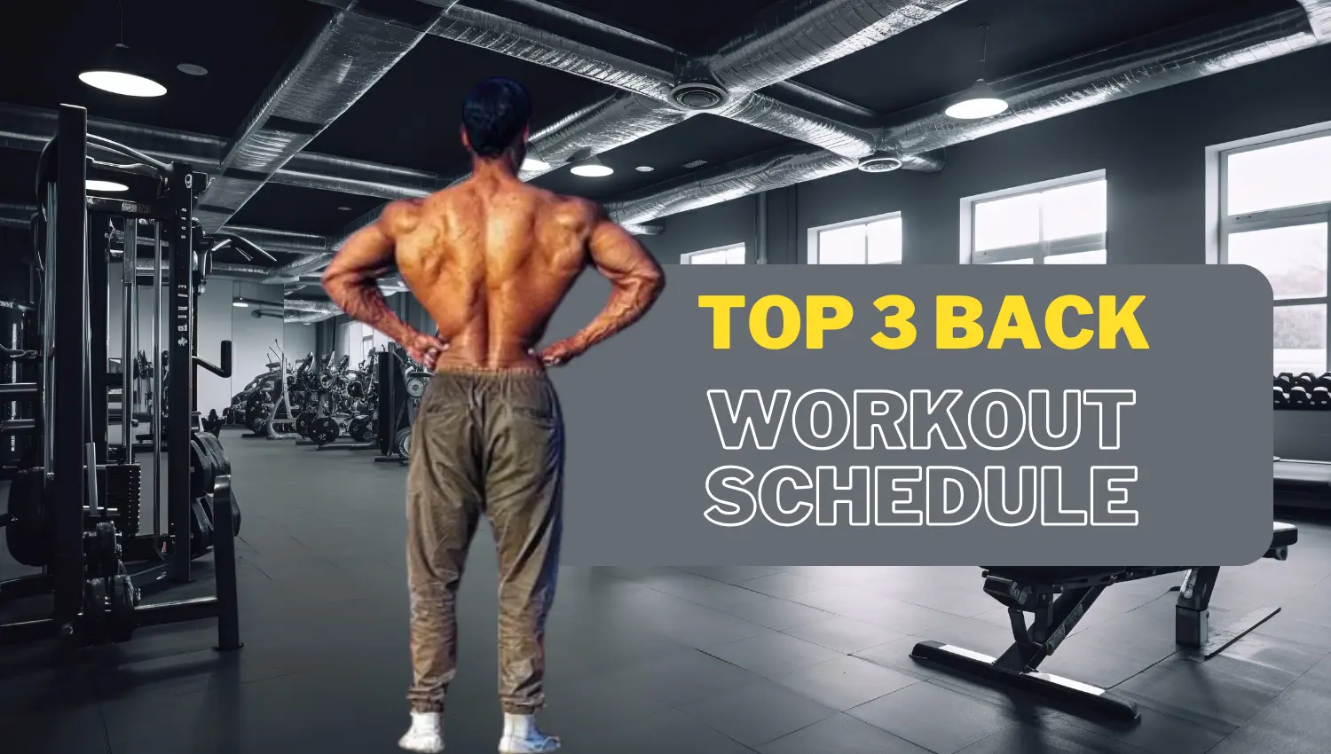 You are currently viewing Top 3 Back Workout Split and Best Exercise for A Wide Back
