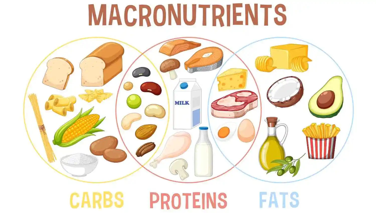 Read more about the article The Best Macronutrient Ratio for Weight Loss