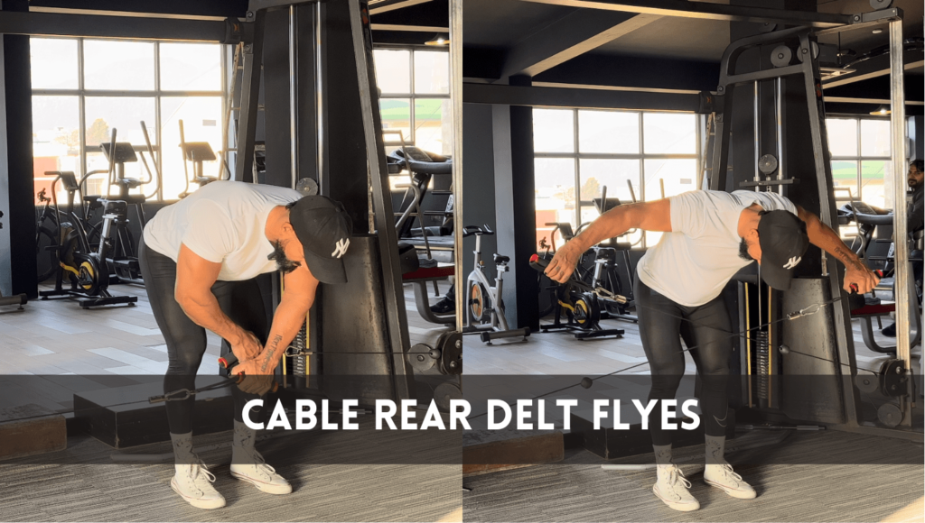 Cable Rear Delt Flyes