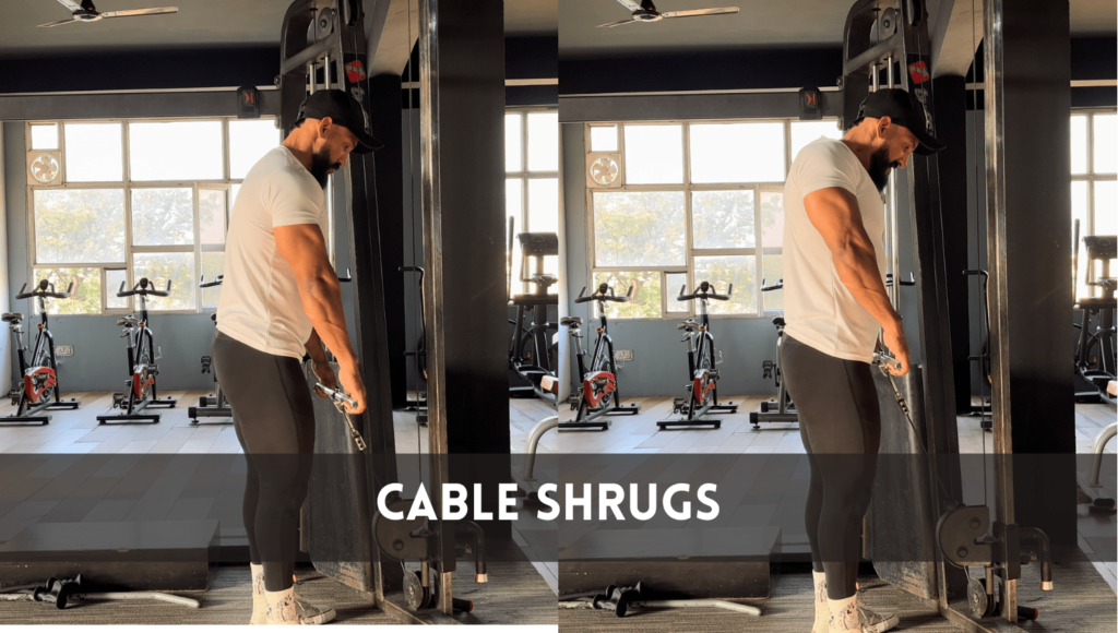 Cable Shrugs