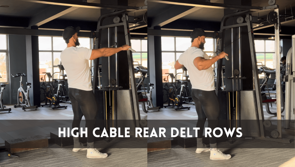 High Cable Rear Delt Rows