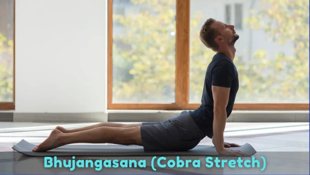 Bhujangasana-Cobra-Stretch