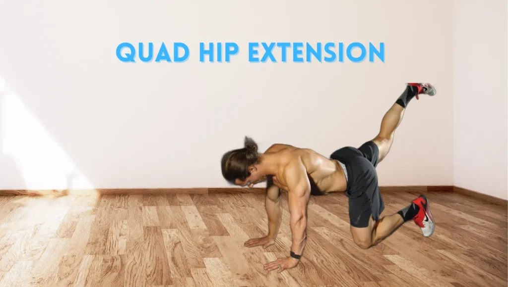 Quad Hip Extension