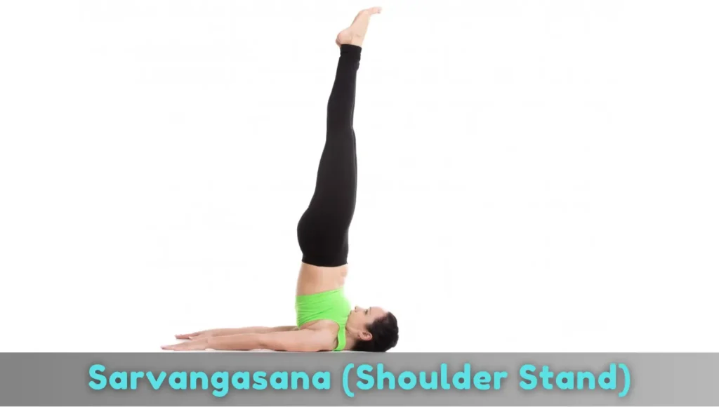 Sarvangasana-Shoulder-Stand