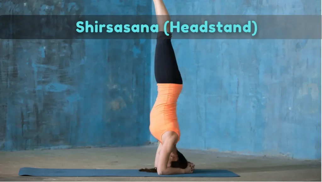 Shirsasana-Headstand